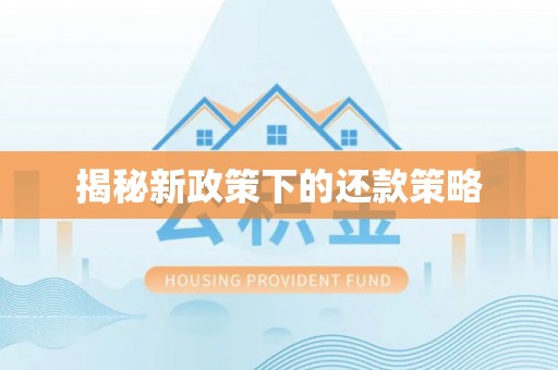彬县揭秘新政策下的还款策略