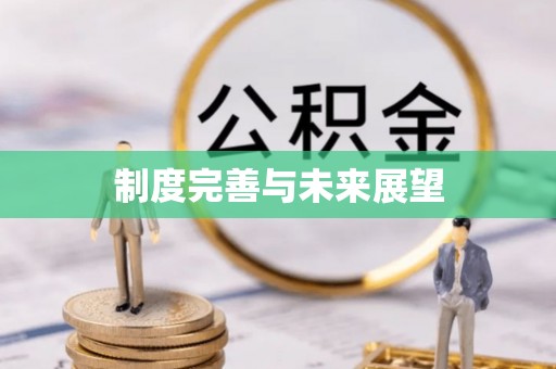 彬县制度完善与未来展望