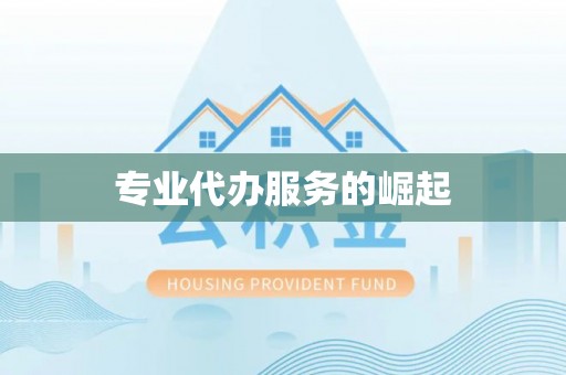 彬县专业代办服务的崛起