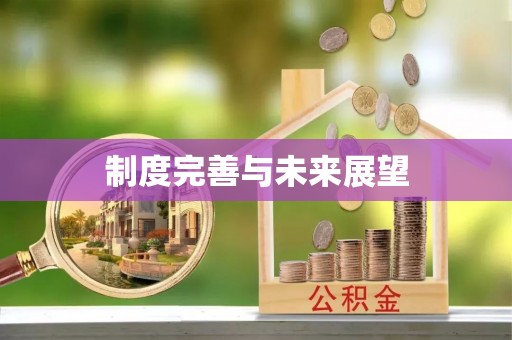 彬县制度完善与未来展望