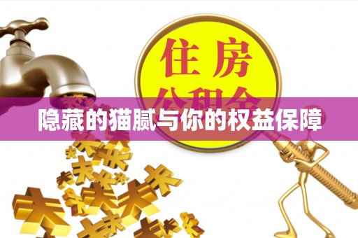 彬县隐藏的猫腻与你的权益保障