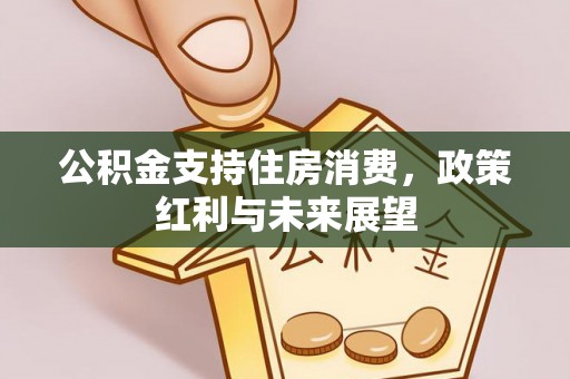 彬县公积金支持住房消费，政策红利与未来展望