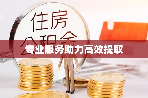 彬县专业服务助力高效提取