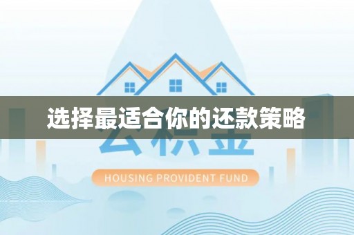彬县选择最适合你的还款策略